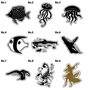 5cm XebJ[ V[   AEghA X[cP[X  T[tB T[t{[h oCN h LN^[ J[ V[ G by XbeJ[ XeBbJ[ T[t C