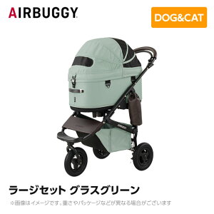AIRBUGGY GAoM[ GA[oM[ h[3 [WZbg OXO[ AD2609 ybgJ[g ybgL[