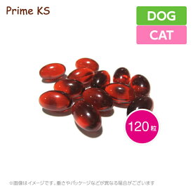 楽天市場 リポ カプセル ビタミンc 犬用品 ペット ペットグッズ の通販