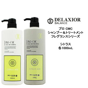 fNVI vCMC VgX~bNX Vv[1000ml g[gg@1000ml tOXV[Y mVR T cw DELAXIOR