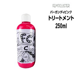 【送料無料】FCカラーキープトリートメント バーガンディピンク250mL　フェムトクラスター