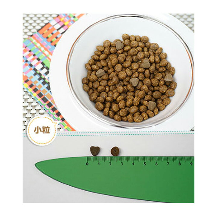 楽天市場】FORZA10 フォルツァ10 RENALアクティブ 2kg 小粒 (リナールアクティブ)(食事療法食 療法食 ペットフード 犬用品) : MyStyleペットストア