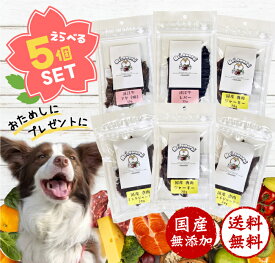 【完全無添加】犬おやつ 選べる小袋5点セット 国産｜Hei,omachi ヘイオマチ｜保存料・着色料ゼロ｜鹿肉 近江牛 ジビエ アレルギー対応｜しつけのプロがプロデュース｜メール便送料無料