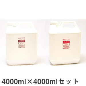 t@V[Y X[p[i`Vv[X4000ml×4000mlZbg ybgp C ybgPApi (qp ps[)