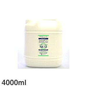 t@V[Y mEFPVv[ NK-12 4,000ml ybgp C ybgPApi