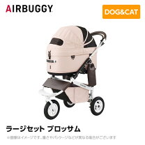 楽天市場】エアバギー ドーム3 レギュラー ブロッサムの通販