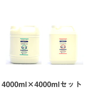 t@V[Y mEFPVv[XiNK-18NK-33j4000ml×4000mlZbg ybgp C ybgPApi