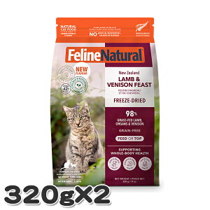 y2ZbgztB[Ci` xj\EtB[Xg 320g Lp h{H t[YhC Lbgt[h