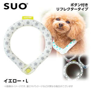 SUO 28°ACXN[O {^t LB CG[itN^[j ilbNN[[ p ЂObY ⊴ACej