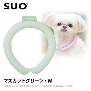 SUO 28°ACXN[O {^Ȃ M }XJbgO[ ilbNN[[ p ЂObY ⊴ACej