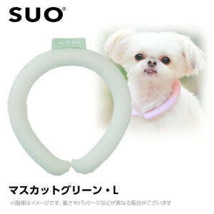 SUO 28°�A�C�X�N�[�������O �{�^���Ȃ� L �}�X�J�b�g�O���[�� �i�l�b�N�N�[���[ ���p �Ђ���O�b�Y �⊴�A�C�e���j