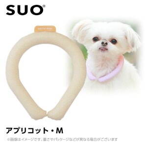 SUO 28°ACXN[O {^Ȃ M AvRbg ilbNN[[ p ЂObY ⊴ACej