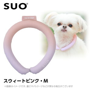 SUO 28°ACXN[O {^Ȃ Of[V M XEB[gsN ilbNN[[ p ЂObY ⊴ACej