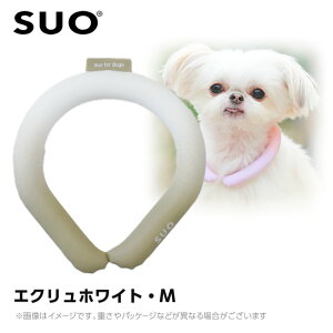 SUO 28°�A�C�X�N�[�������O �{�^���Ȃ� �O���f�[�V���� M �G�N�����z���C�g �i�l�b�N�N�[���[ ���p �Ђ���O�b�Y �⊴�A�C�e���j