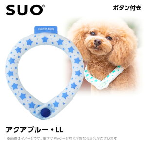 SUO 28°ACXN[O {^t LLB ANAu[ ilbNN[[ p ЂObY ⊴ACej