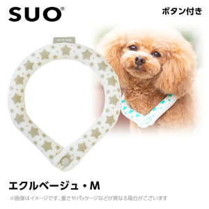 SUO 28°ACXN[O {^t MB GNx[W ilbNN[[ p ЂObY ⊴ACej