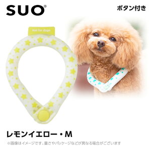 SUO 28°ACXN[O {^t MB CG[ ilbNN[[ p ЂObY ⊴ACej