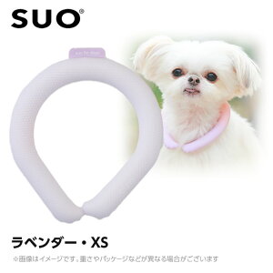 y[ցzSUO 28°ACXN[O {^Ȃ XS x_[ ilbNN[[ p ЂObY ⊴ACej