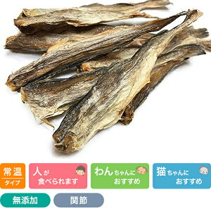 Y ۊXi܂j50g vCPCY  Y Y pi Lpi (qp ps[)