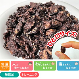 馬のこころビッツ 40g プライムケイズ おやつ 国産 無添加 犬用品 猫用品 (子犬用 パピー)
