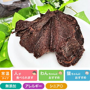 Y SAKUTNb 40g vCPCY  Y Y pi Lpi (qp ps[)