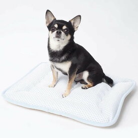 appy アッピィ 超クール ウォッシャブルマット L 犬猫用 オーガニックコットン リバーシブル 接触冷感 ひんやり 夏用