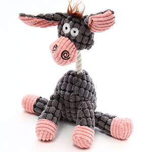 [N ROOP [v tfB fCW[hL[