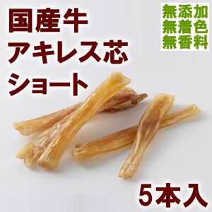 y[ցzWAN^C Y ALXcV[g 5{茢p  Y Y F  ቷ  f^PA