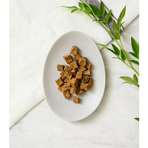 DOGTREE hbOc[ p؂ij 40g (Y)