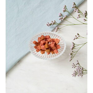 DOGTREE hbOc[ ĕv`XN 20g (qp ps[) (Y)