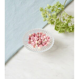 DOGTREE hbOc[ ĕ}[urbc 20g (qp ps[) (Y)