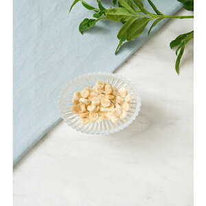 DOGTREE hbOc[ ĕ}[urbc`[Y 20g (qp ps[) (Y)