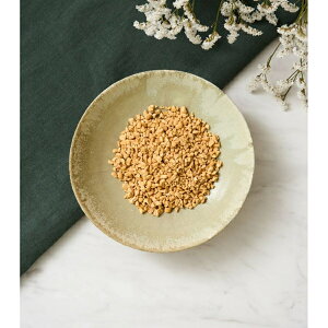 DOGTREE hbOc[ t[YhCЂ[@ 15ܓ (Y)