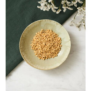 DOGTREE hbOc[ t[YhCЂ[ 10g (Y)