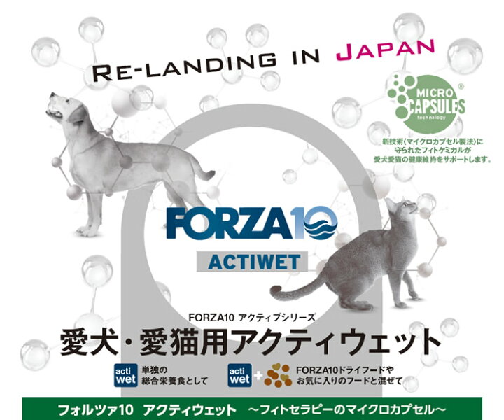 楽天市場】【32個セット】フォルツァ10 ドッグ アクティウェット 