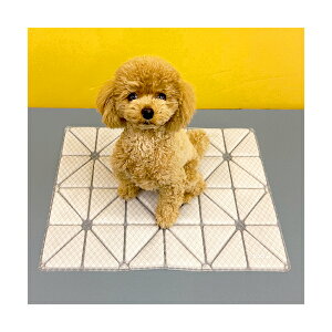 SUO 28°ICE COOL Mat3��F �x�[�W����
