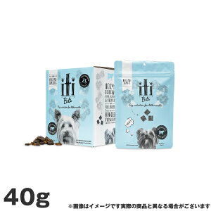 iti CeBhbO r[t fBi[ 40g (hbOt[h pt[h) (ᎉb _CGbg)