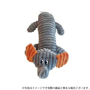 M-PETS PLAYhbOgC ]Ẽ{r[(p pߋ)