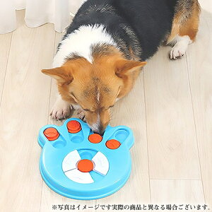 M-PETS BRAINY GAMES _[EB(p pߋ)