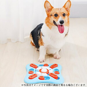 M-PETS BRAINY GAMES RyjNX(p pߋ)