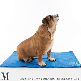 M-PETS FROZENクーリングマット M ブルー