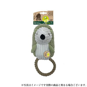 M-PETS ECOhbOgC nlY~̃Ct(p pߋ)