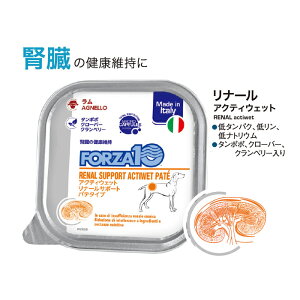 tHc@10 hbO ANeBEFbg i[itT|[gj pe^Cv 100g (hbOt[h pt[h)