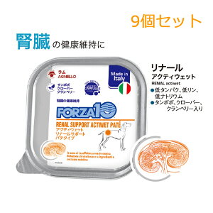 y9ZbgztHc@10 hbO ANeBEFbg i[itT|[gj pe^Cv 100g (hbOt[h pt[h)