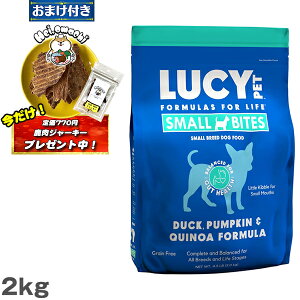 yyz܂(艿770~)×1ܕt[V[ybg LUCY PET _bNEpvLLkA hChbOt[h ^Cv 4.5|hi2kgj h{H p