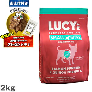 yyz܂(艿770~)×1ܕt[V[ybg LUCY PET T[EpvLLkA hChbOt[h ^Cv 4.5|hi2kgj h{H p