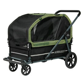 AIRBUGGY エアバギー エアクルーザー セット モスグリーン AD1941