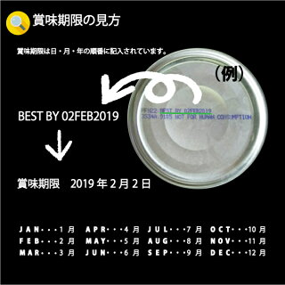 ニュートライプPURE【グリーントライプ】95gドッグフード(ウェットフード犬用品)