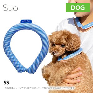 y[ցzSUO for dogs 28°ACXN[Oyss u[zlbNN[[ p Ђ ⊴  ΍ MǑ΍