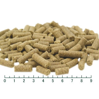 トライバル【フレッシュサーモン】400gドッグフード(ドライペットフード犬用品)